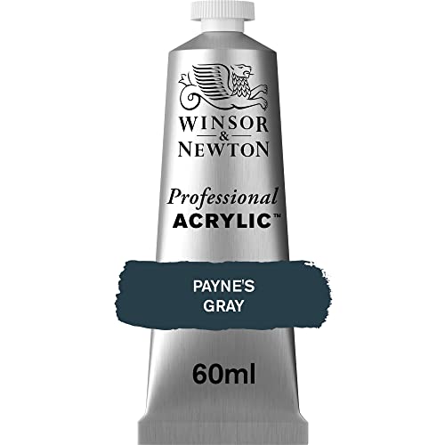 Winsor & Newton Professional Acrylic Paint, 60ml (2-oz) Tube, Payne's Gray