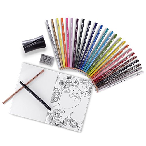 Gifts For Teenage Artists: Art Kit