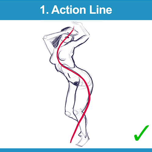 How to Draw Contour Line Art: 4 Key Steps