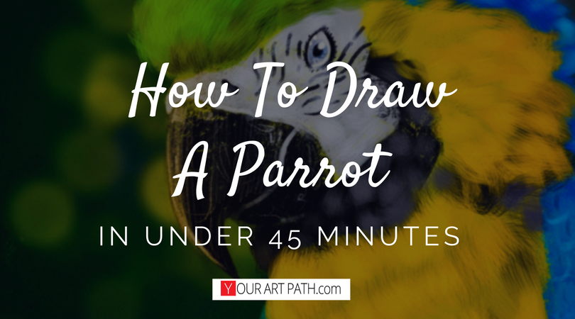 how to draw a parrot step by step | how to paint a parrot step by step