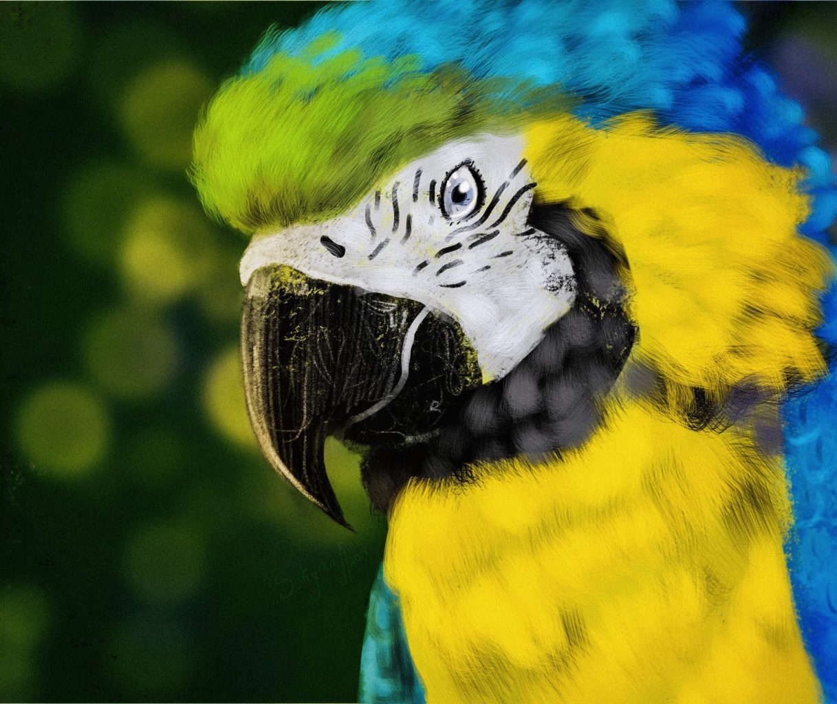 How To Draw A Parrot In Under 45 Minutes | Paint A Parrot