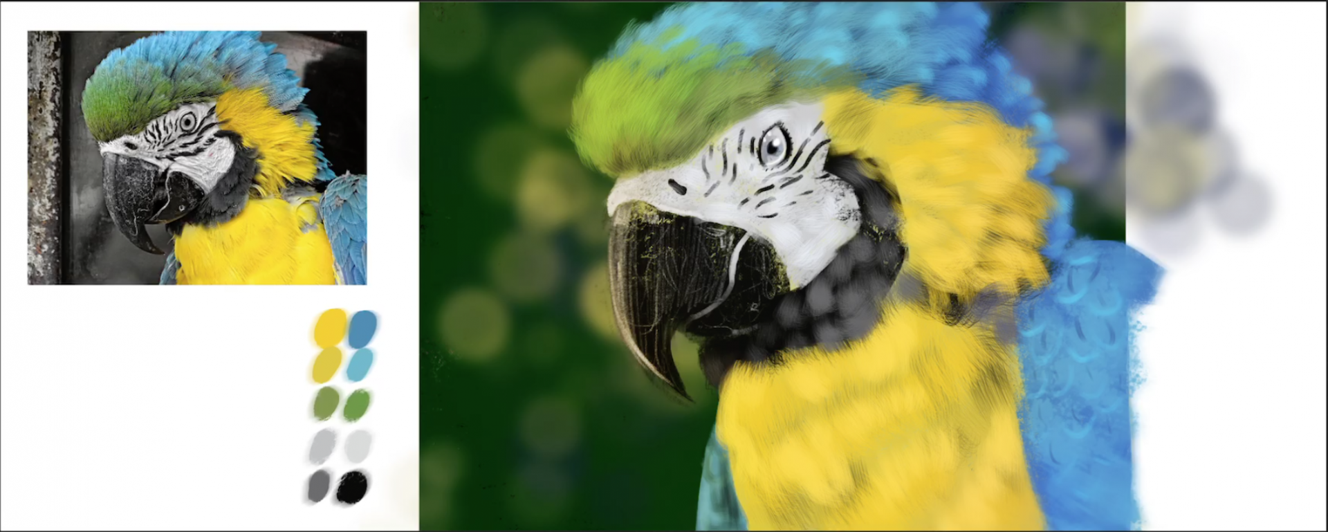 Parrot Draw Computer How To Draw A Parrot In Under 45 Minutes | Paint A Parrot