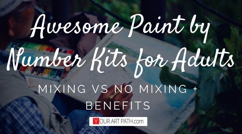 Adults Paint Number Kits