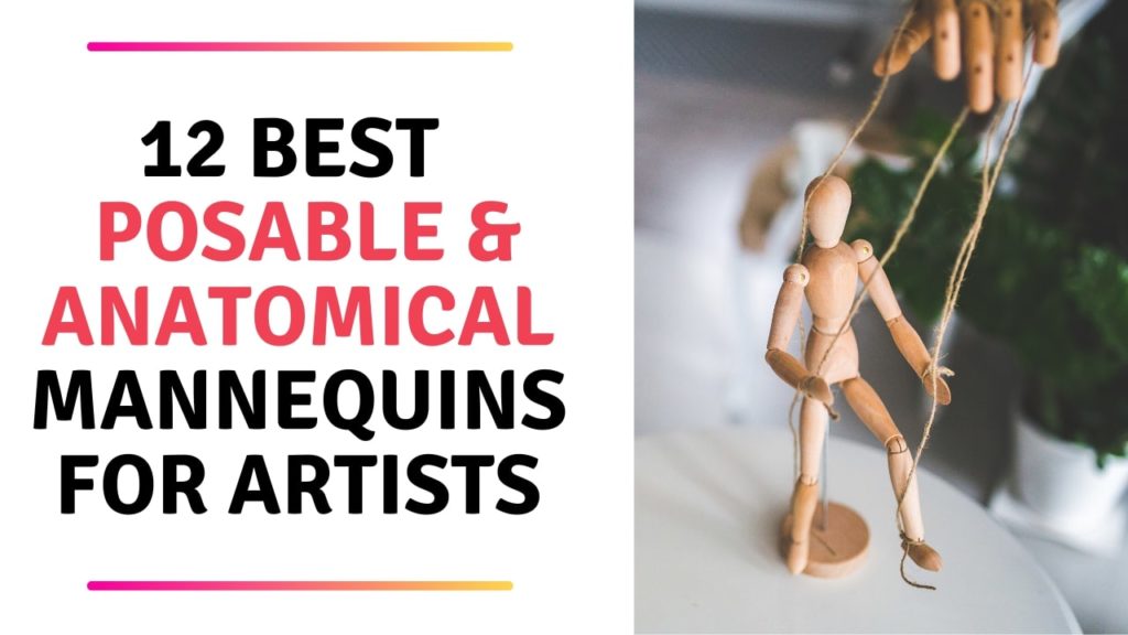 12 Best Posable Art Mannequin and Anatomical Mannequin for Artists. Torso, head, figure, hands and skeleton. These are great for drawing ideas and to practice! Check out more in the article...