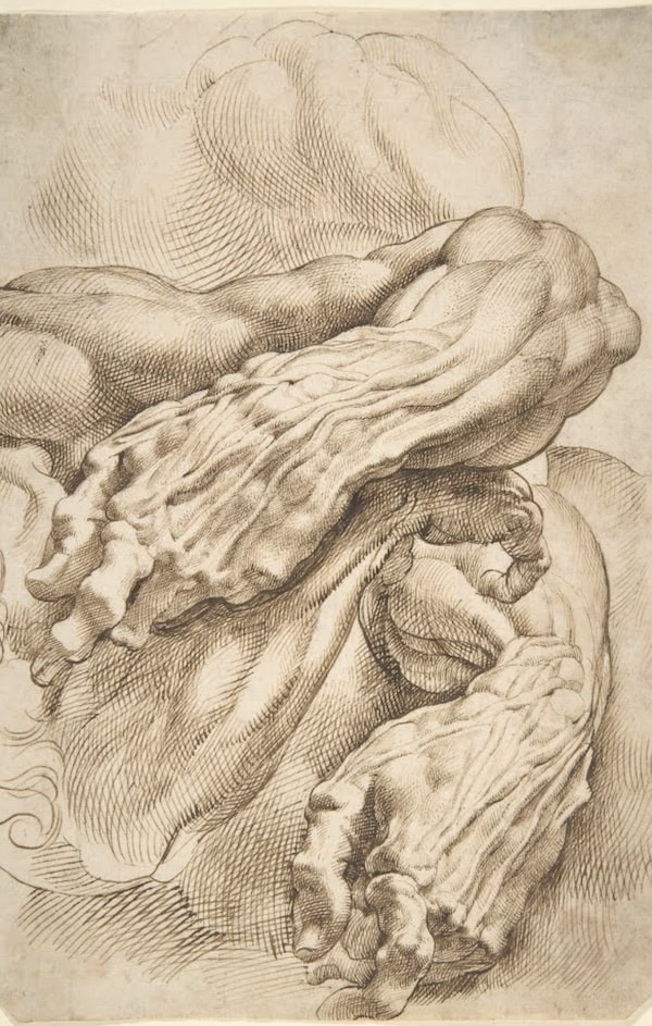 "Anatomical Studies: a left forearm in two positions and a right forearm" 
Peter Paul Rubens, ca. 1600- ca. 1605