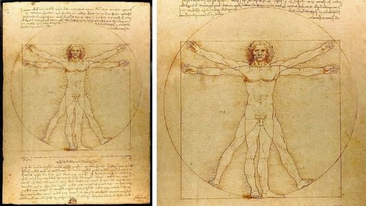The Vitruvian Man by Leonardo Da Vinci