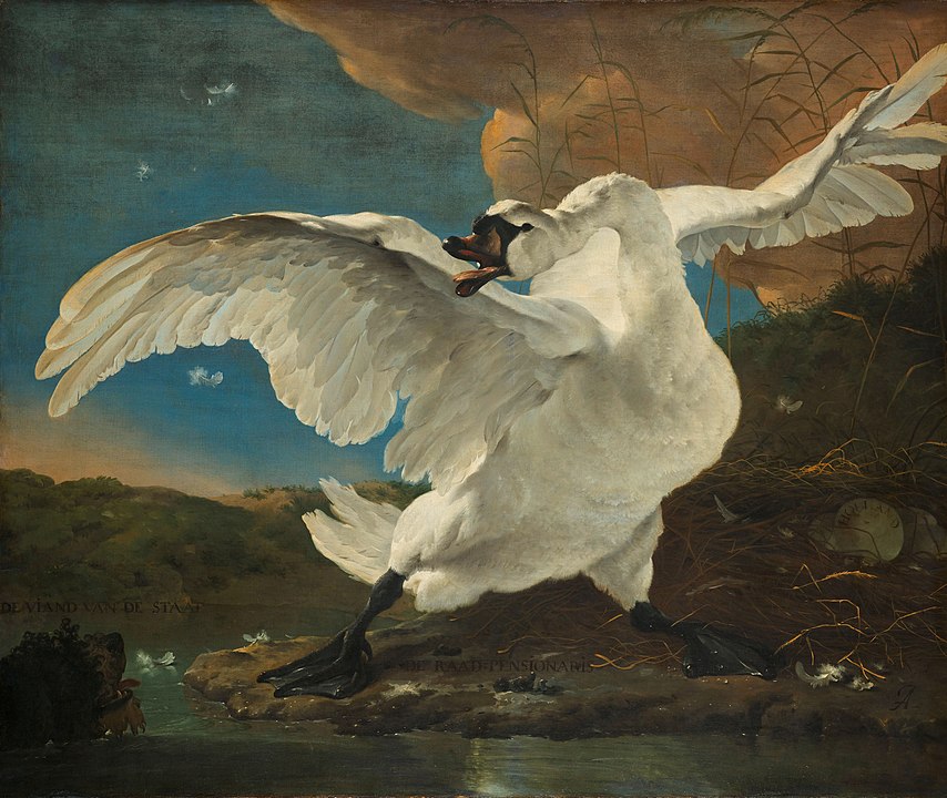 The Threatened Swan (1650) by Jan Asselijn . Public domain, via Wikimedia Commons