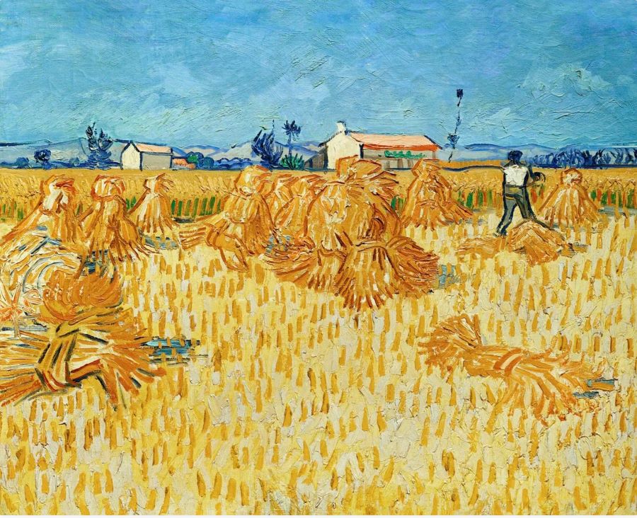 Vincent van Gogh's Sunflowers (1888), as an example of a Complementary color scheme