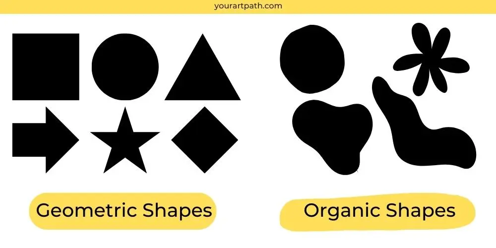 2 Types of Shapes: Shapes can be placed into two categories: geometric and organic shapes. 